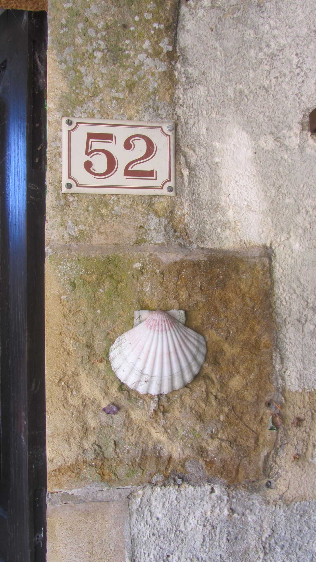 img_8489.jpg